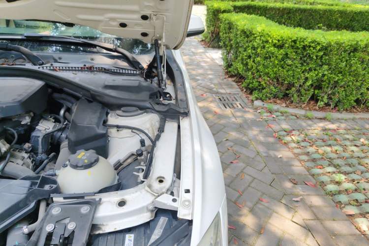 Used BMW 3 Series 2014 320Li Luxury Design Package Engine Bay Left