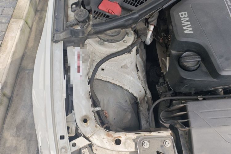 Used BMW 3 Series 2014 320i Sport Edition Engine Bay Right