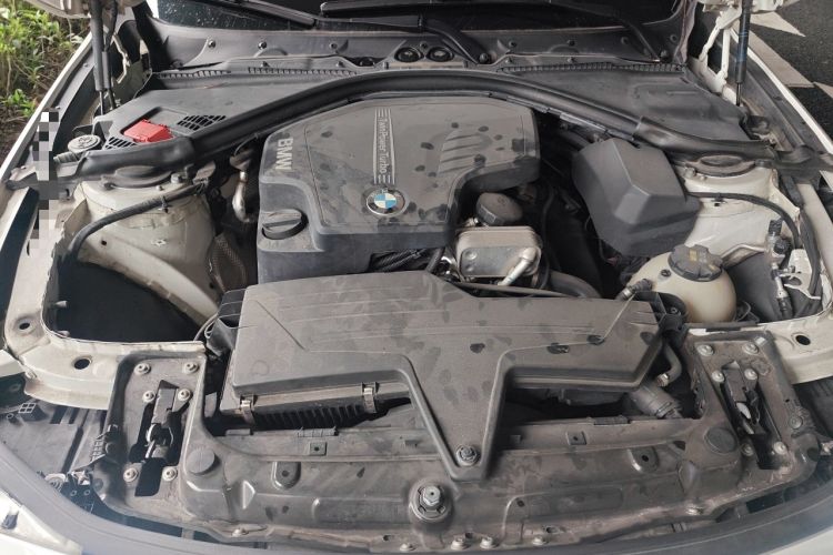 Used BMW 3 Series 2014 320i Active Edition Engine Bay