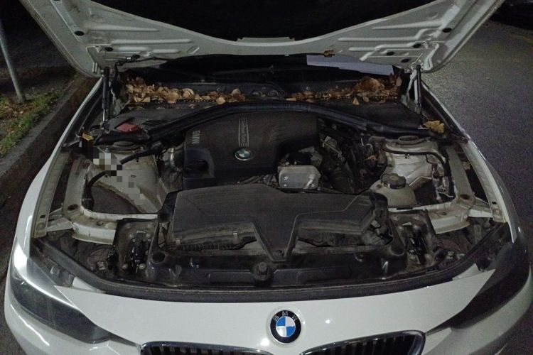 Used BMW 3 Series 2014 320i Active Edition Engine Bay