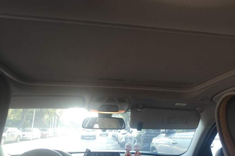Used BMW 3 Series 2014 320i Sport Edition Headliner