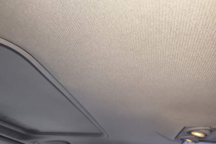 Used BMW 3 Series 2014 320Li Fashion Model Headliner