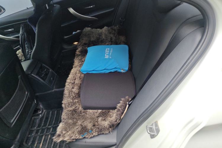 Used BMW 3 Series 2014 320Li Fashion Model Left Rear Seat
