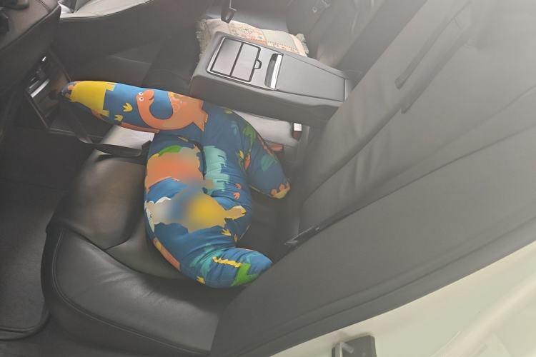 Used BMW 3 Series 2014 328Li Fashion Model Left Rear Seat