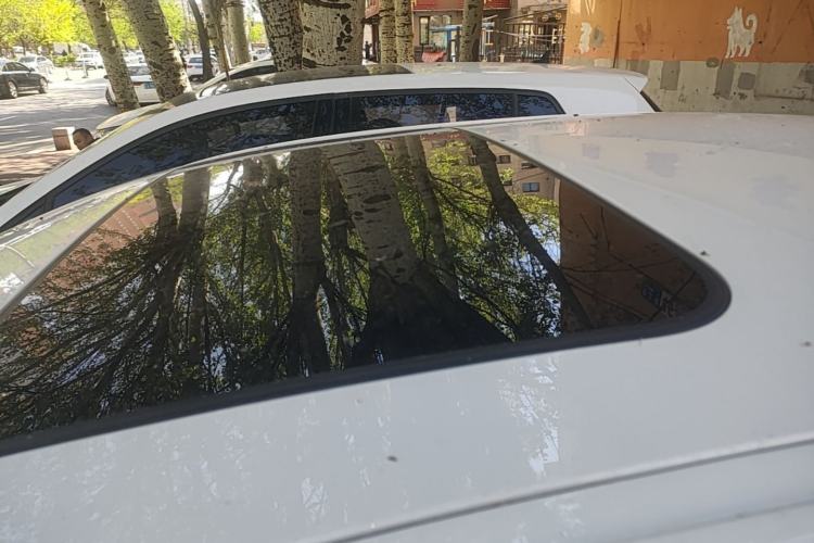 Used BMW 3 Series 2014 320Li Fashion Model Roof