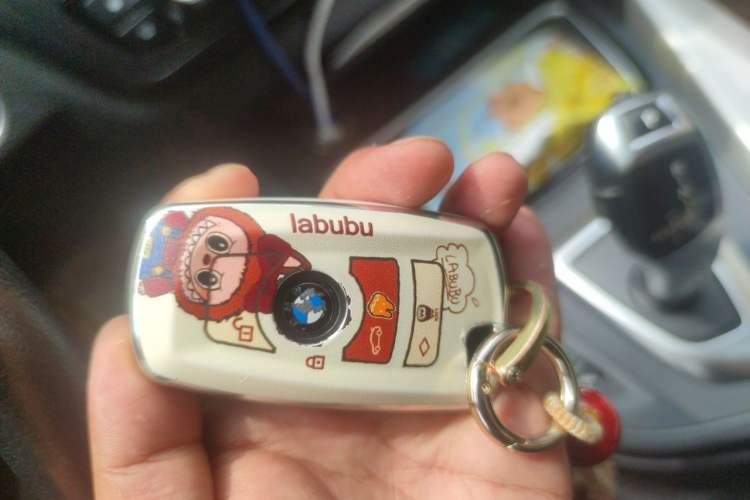Used BMW 3 Series 2014 320Li Fashion Model Vehicle Key