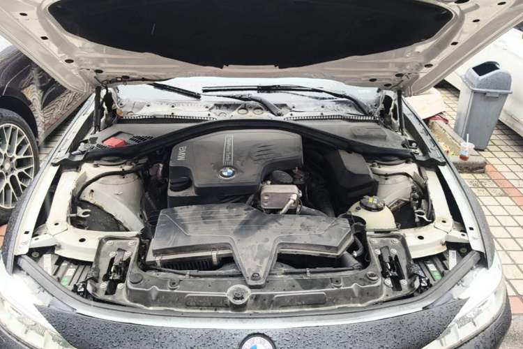 Used BMW 3 Series 2015 320Li Luxury Edition Fashion Model Engine Bay