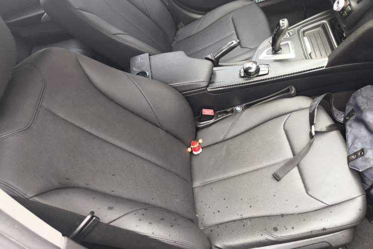 Used BMW 3 Series 2015 320Li Luxury Edition Fashion Model Right Front Seat