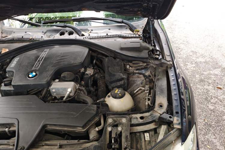 Used BMW 3 Series 2015 320Li Luxury Edition Fashion Model Engine Bay Left