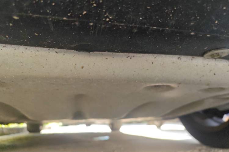 Used BMW 3 Series 2015 320i Sport Design Package Chassis Rear