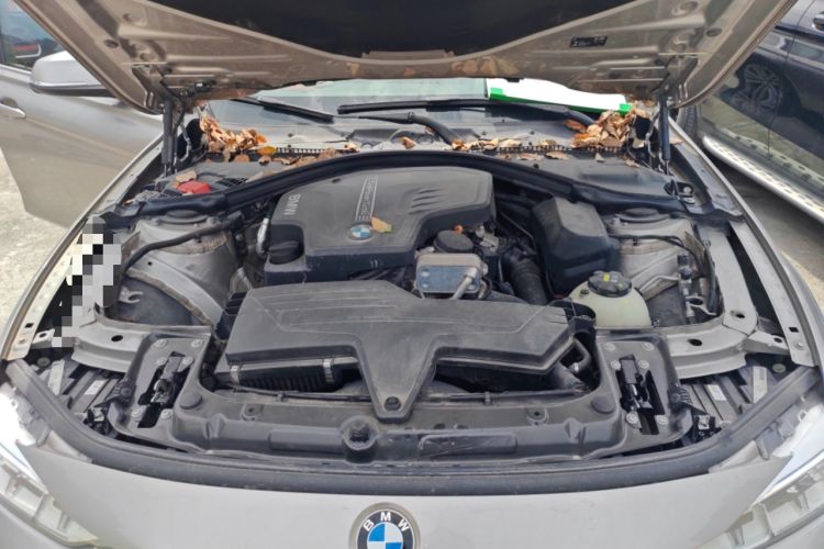 Used BMW 3 Series 2015 320Li Luxury Edition Fashion Model Engine Bay