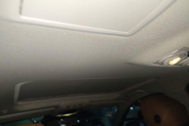 Used BMW 3 Series 2015 320Li Luxury Design Package Headliner