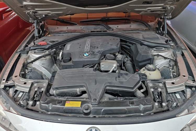 Used BMW 3 Series 2015 320Li Luxury Design Package Premium Edition Engine Bay