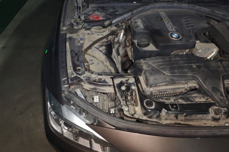 Used BMW 3 Series 2015 320Li Luxury Design Package Engine Bay Right