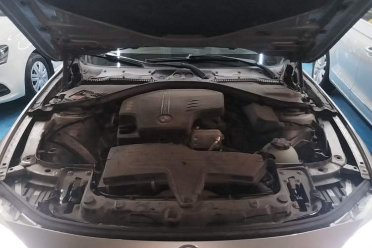 Used BMW 3 Series 2015 320Li Luxury Edition Fashion Model Engine Bay
