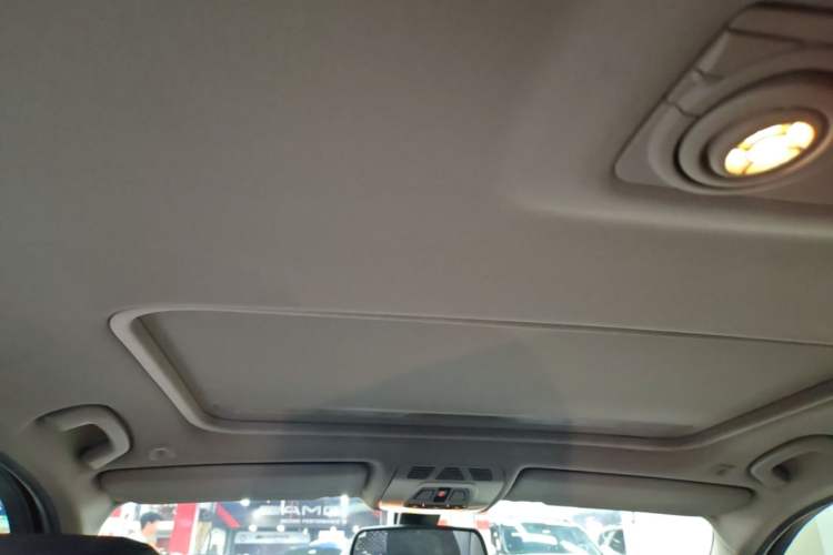 Used BMW 3 Series 2015 320Li Luxury Edition Fashion Model Headliner