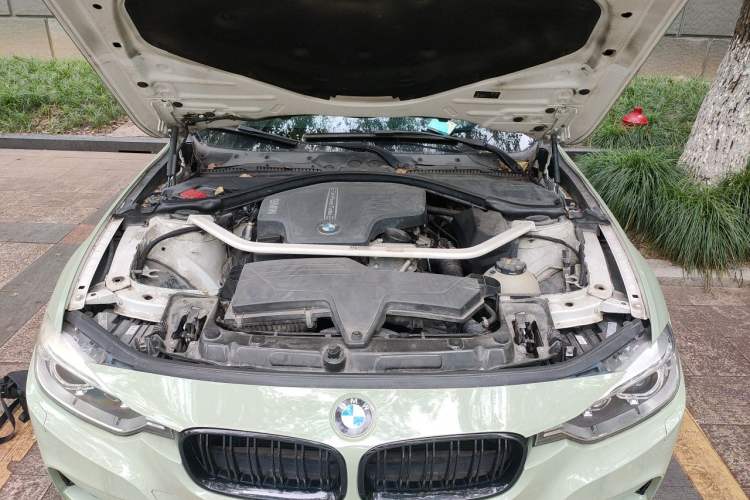 Used BMW 3 Series 2015 320i Luxury Edition Sports Design Package Engine Bay