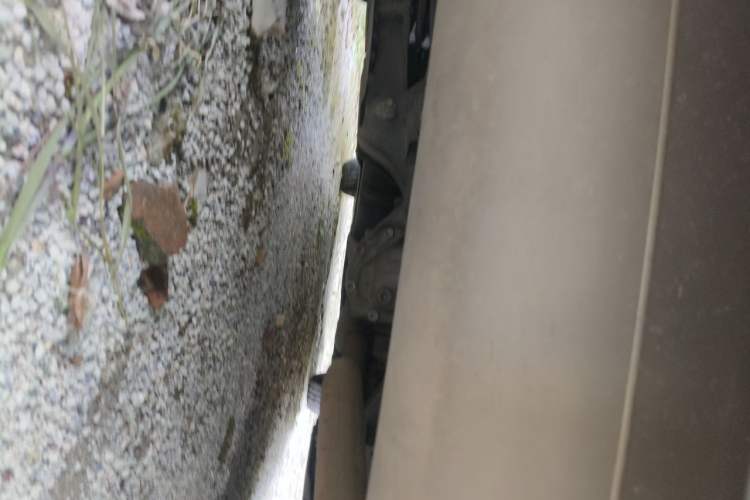 Used BMW 3 Series 2015 320Li Fashion Model Chassis Rear