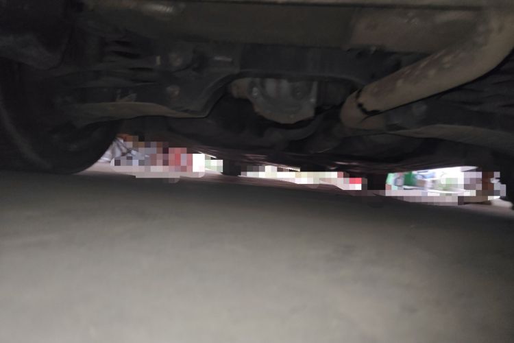 Used BMW 3 Series 2015 320Li Luxury Edition Fashion Model Chassis Rear