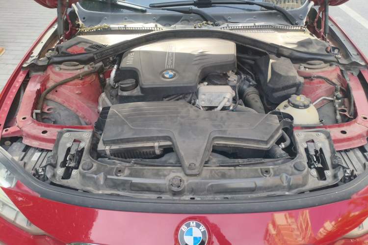Used BMW 3 Series 2015 320Li Luxury Design Package Engine Bay