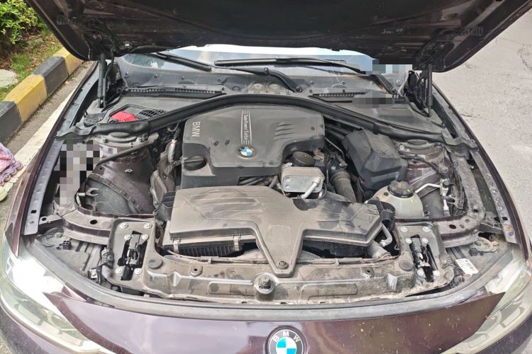 Used BMW 3 Series 2015 320Li Luxury Design Package Engine Bay