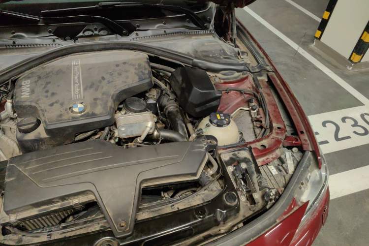 Used BMW 3 Series 2015 320Li Luxury Design Package Engine Bay Left