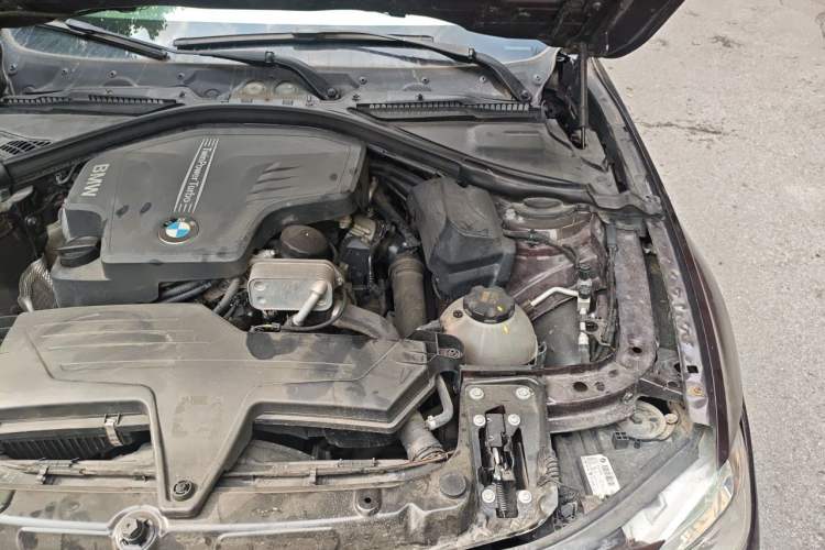 Used BMW 3 Series 2015 320Li Luxury Design Package Engine Bay Left