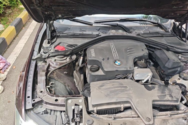 Used BMW 3 Series 2015 320Li Luxury Design Package Engine Bay Right