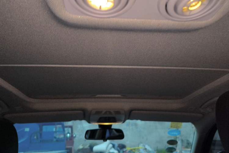 Used BMW 3 Series 2015 316Li Fashion Model Headliner