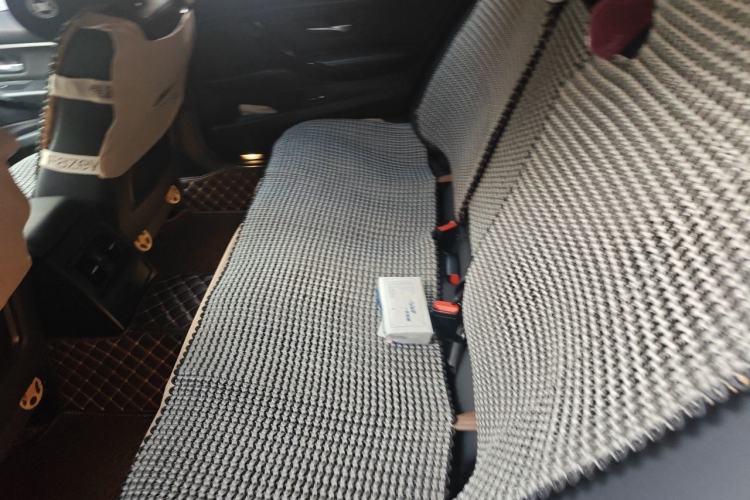 Used BMW 3 Series 2015 320Li Luxury Edition Fashion Model Left Rear Seat