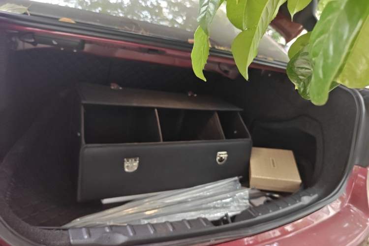 Used BMW 3 Series 2015 320Li Luxury Edition Fashion Model Trunk
