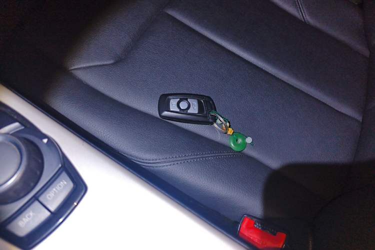 Used BMW 3 Series 2015 320Li Luxury Edition Fashion Model Vehicle Key