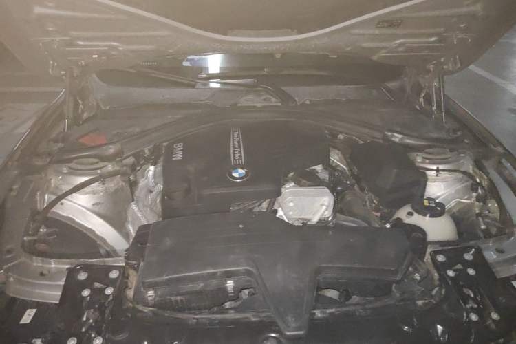 Used BMW 3 Series 2015 320Li Luxury Edition Fashion Model Engine Bay