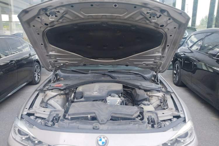 Used BMW 3 Series 2015 320Li Luxury Edition Fashion Model Engine Bay