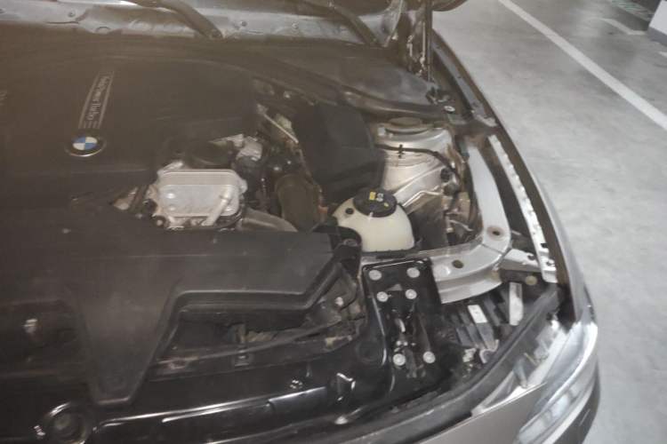 Used BMW 3 Series 2015 320Li Luxury Edition Fashion Model Engine Bay Left