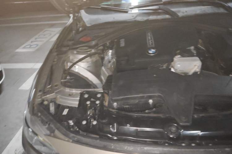 Used BMW 3 Series 2015 320Li Luxury Edition Fashion Model Engine Bay Right