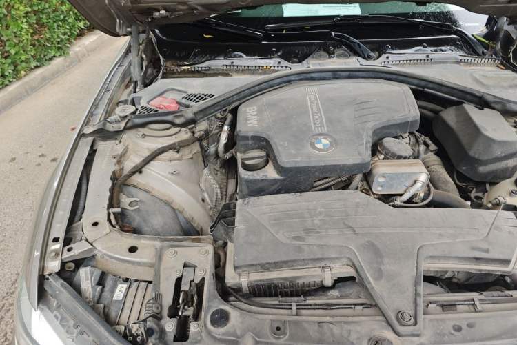 Used BMW 3 Series 2015 320Li Luxury Design Package Engine Bay Right