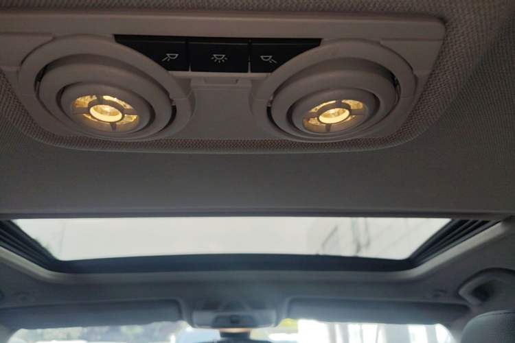 Used BMW 3 Series 2015 320Li Luxury Edition Fashion Model Headliner
