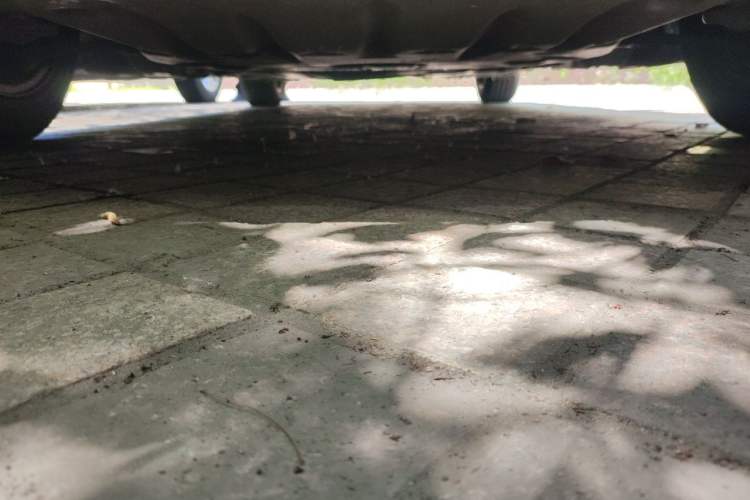 Used BMW 3 Series 2015 316Li Fashion Model Chassis Front