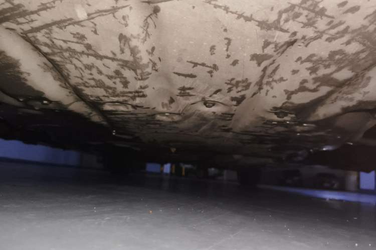 Used BMW 3 Series 2015 316Li Fashion Model Chassis Front