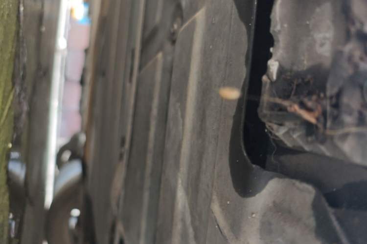 Used BMW 3 Series 2015 316Li Fashion Model Chassis Front Right