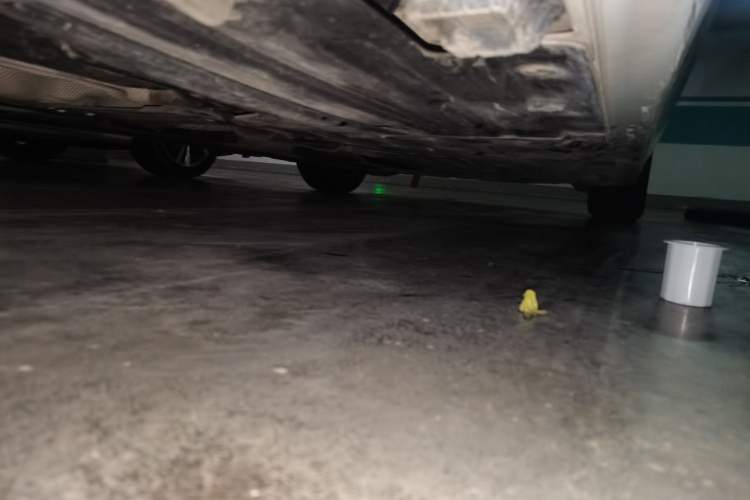 Used BMW 3 Series 2015 316Li Fashion Model Chassis Rear Right