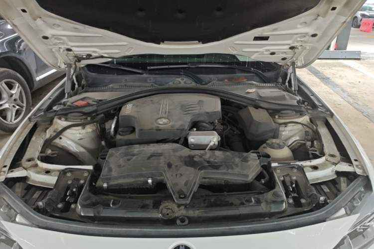 Used BMW 3 Series 2015 320Li Luxury Edition Fashion Model Engine Bay