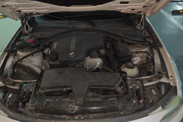 Used BMW 3 Series 2015 320Li Luxury Edition Fashion Model Engine Bay