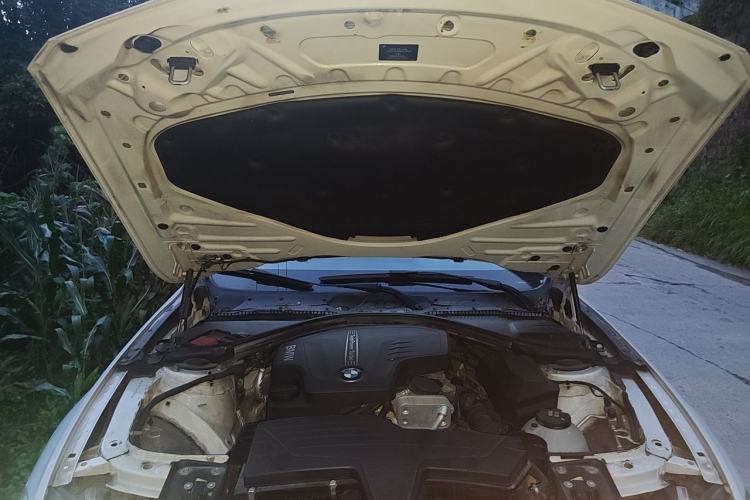 Used BMW 3 Series 2015 320Li Luxury Edition Fashion Model Engine Bay