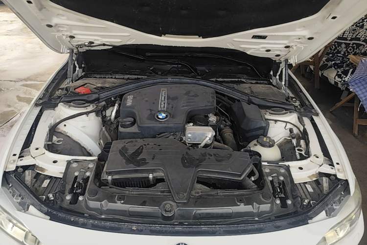Used BMW 3 Series 2015 320Li Luxury Edition Fashion Model Engine Bay