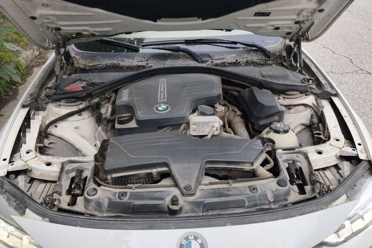 Used BMW 3 Series 2015 320Li Luxury Design Package Premium Edition Engine Bay