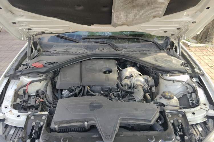 Used BMW 3 Series 2015 316Li Fashion Model Engine Bay