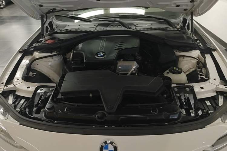 Used BMW 3 Series 2015 320i Luxury Line Stylish Edition Engine Bay