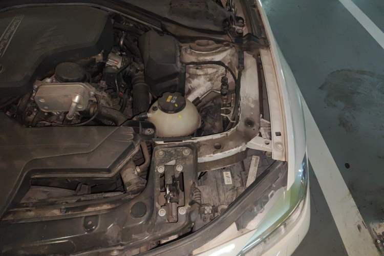 Used BMW 3 Series 2015 320Li Luxury Edition Fashion Model Engine Bay Left